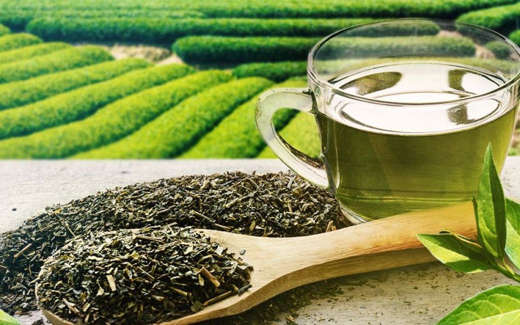 Як правильно заварювати зелений чай
