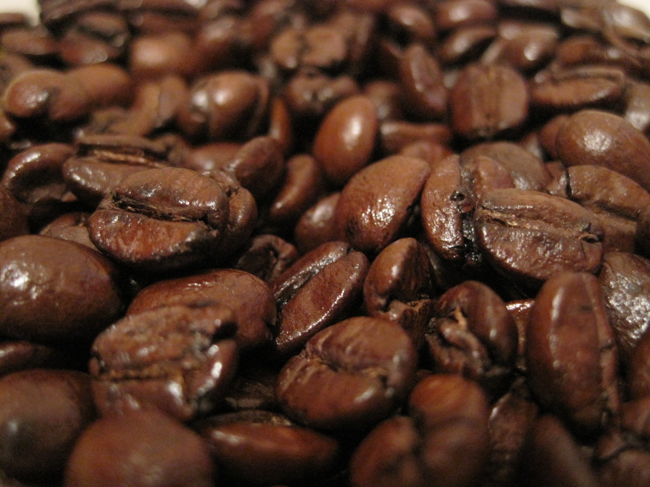 Тільки свіжообсмажена кава