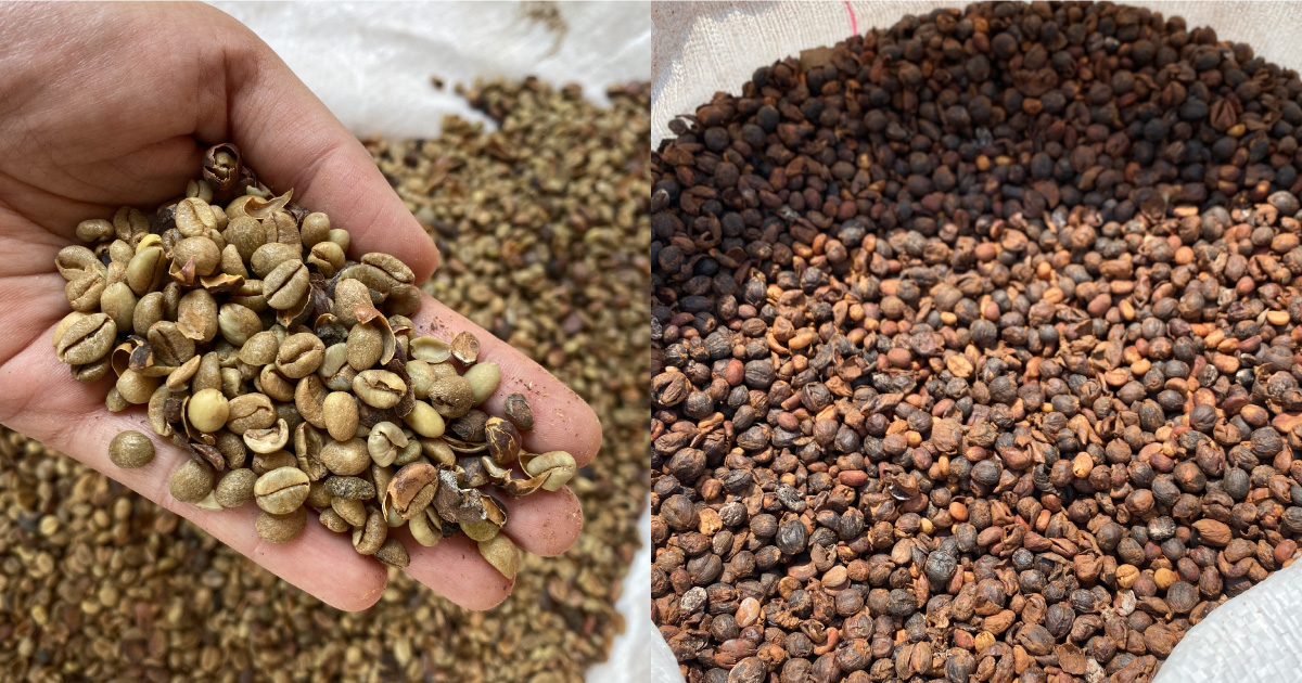 кофе эксцельза