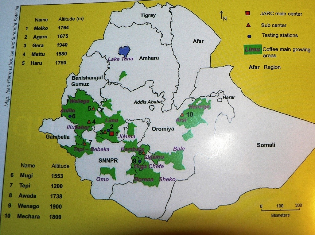 Районы производства кофе Эфиопии