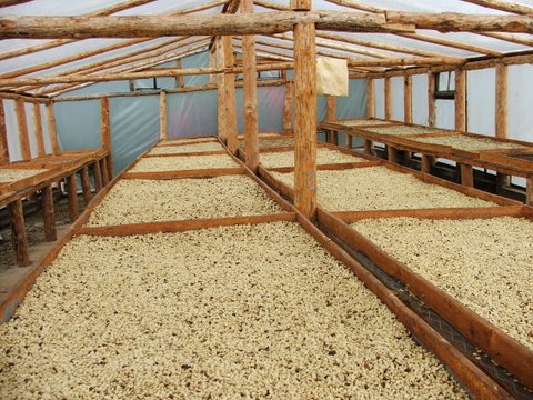 Ферма з кавою у Барахоні