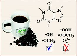 coffee antioxidant
