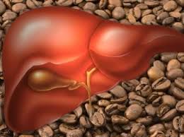coffee liver