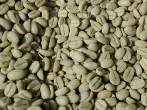 Робуста Камерун