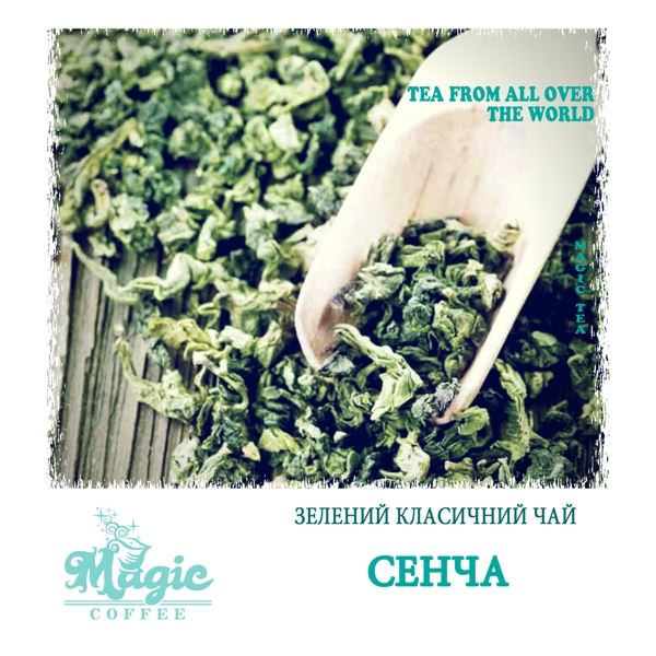 Сенча