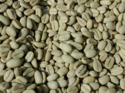 Робуста Камерун