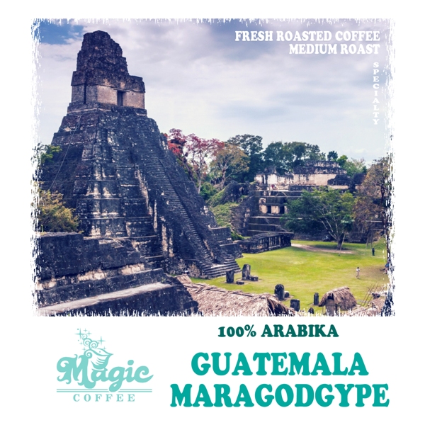 Кофе свежей обжарки Гватемала Марагоджип