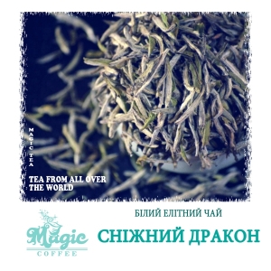 Сніжний дракон