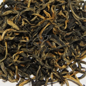 Золотий пуер